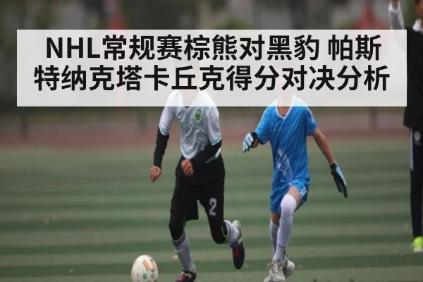 NHL常规赛棕熊对黑豹 帕斯特纳克塔卡丘克得分对决分析